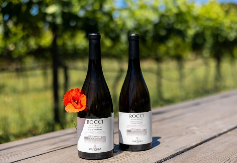 foto di due bottiglie di vino bianco rocci con la vigna sullo sfondo