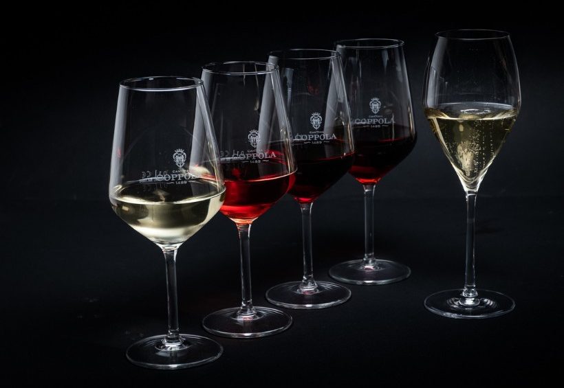 I colori del Negroamaro wine tour Cantina coppola