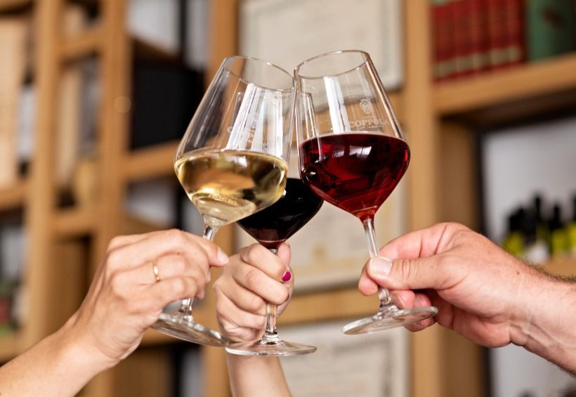 Wine Tour e degustazioni in Salento