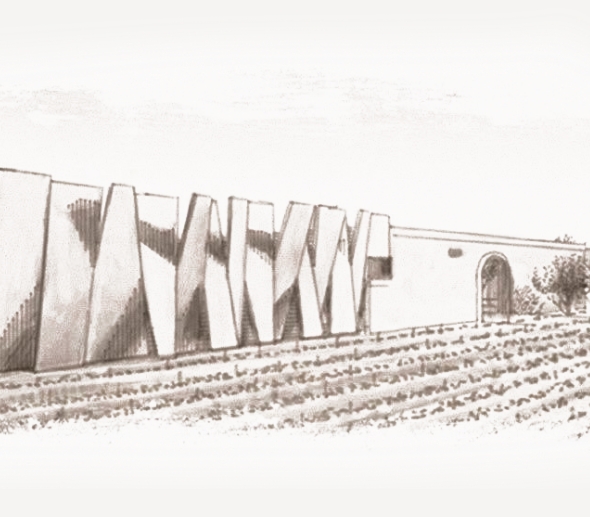 Cantina Coppola 1489 - Il progetto