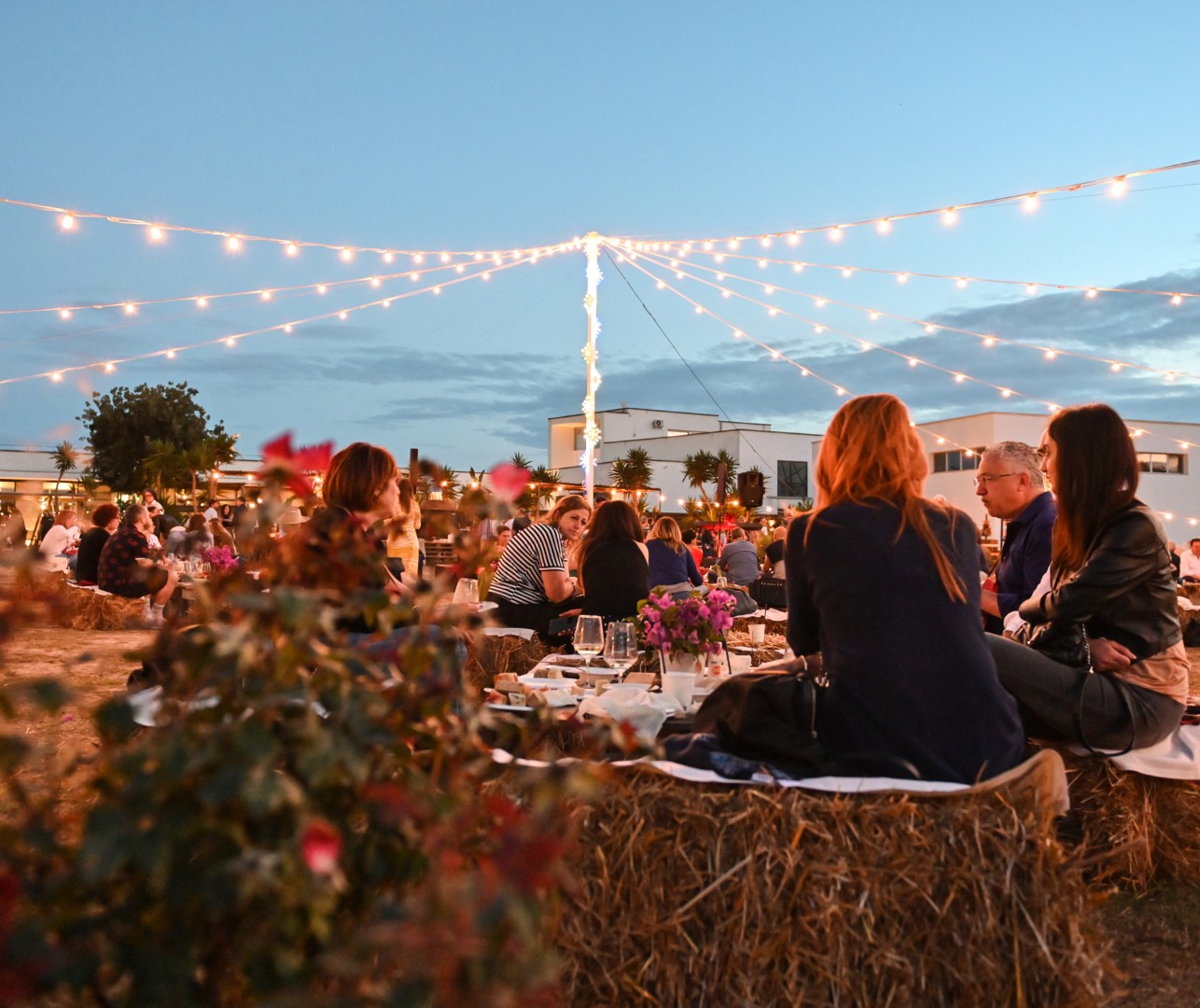Al Vigneto ristorante Cantina Coppola
