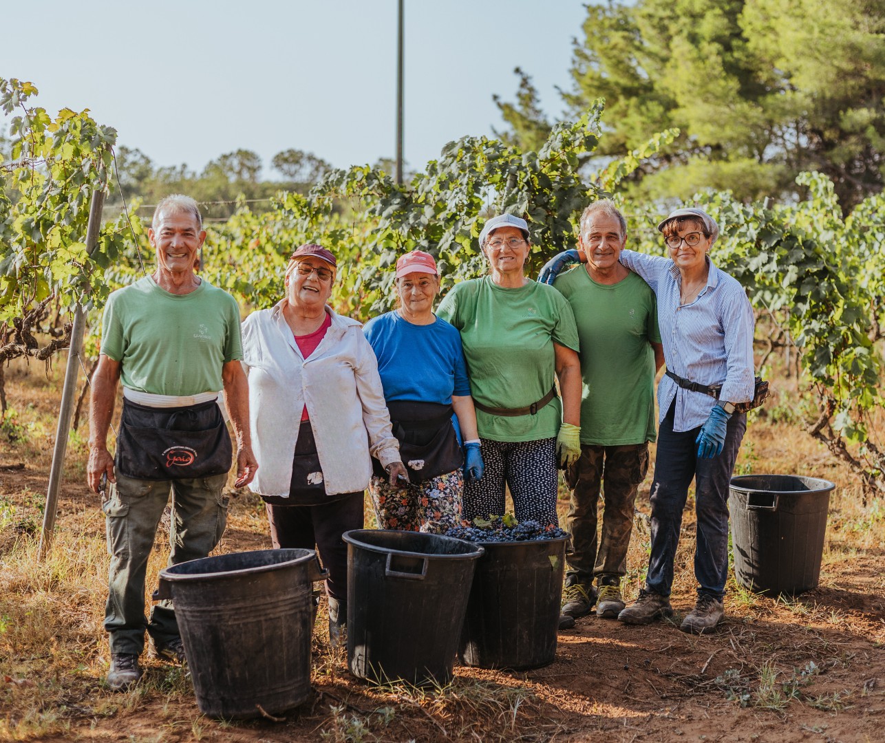 cantina-coppola-vendemmia-2024 (4)